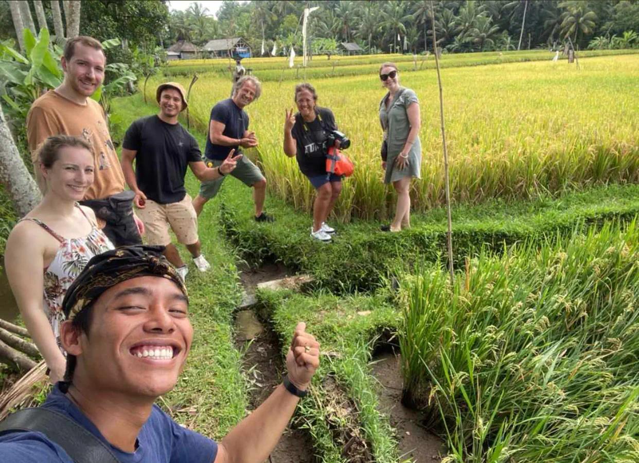 Rice Fields