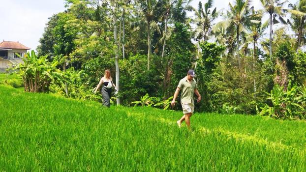 Balinese Home