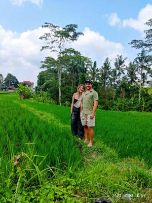 rice field 3